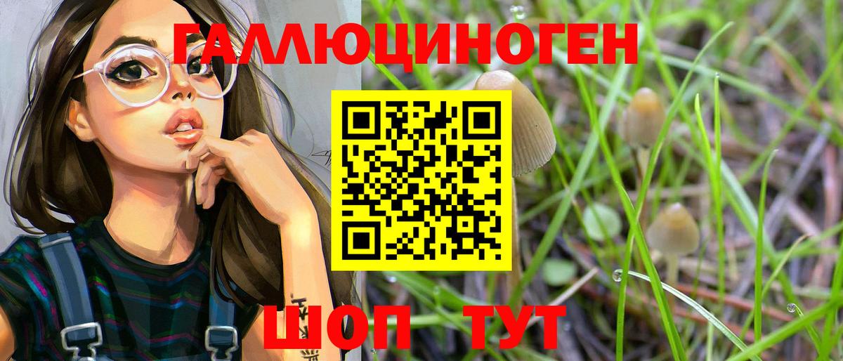 Галлюциногенные грибы GOLDEN TEACHER  Вход с VPN  Галлюциногенные грибы прущие грибы  Сатка 